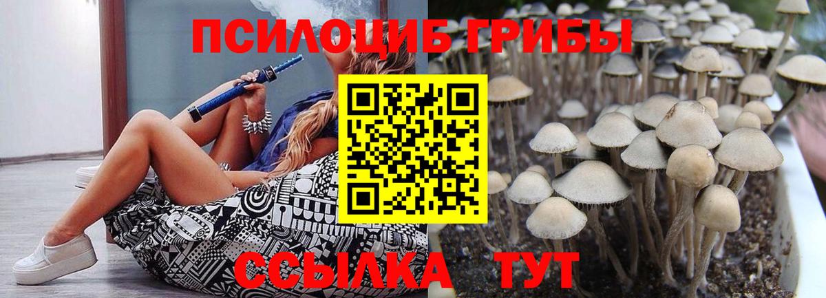 Галлюциногенные грибы MAGIC MUSHROOMS Горячий Ключ
