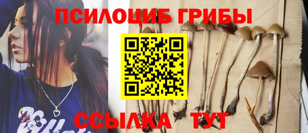 Горячий Ключ  Галлюциногенные грибы прущие грибы  Вход с VPN 